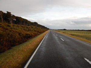 Paparoa NP - Gletscher-070